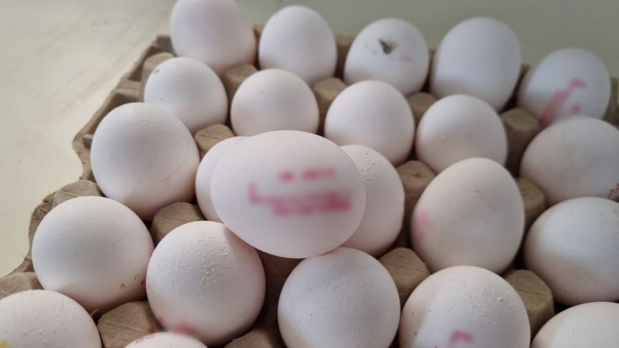 شرطة القدس : ضبط محل لتعبئة البيض المزوّر